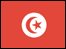 دليل جامعات تونس