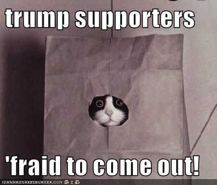 aw, c'mon little drumpfer...it's okay..