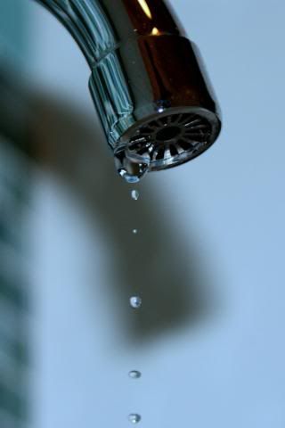 http://i388.photobucket.com/albums/oo324/IzzieLzzie/DSC00931.jpg