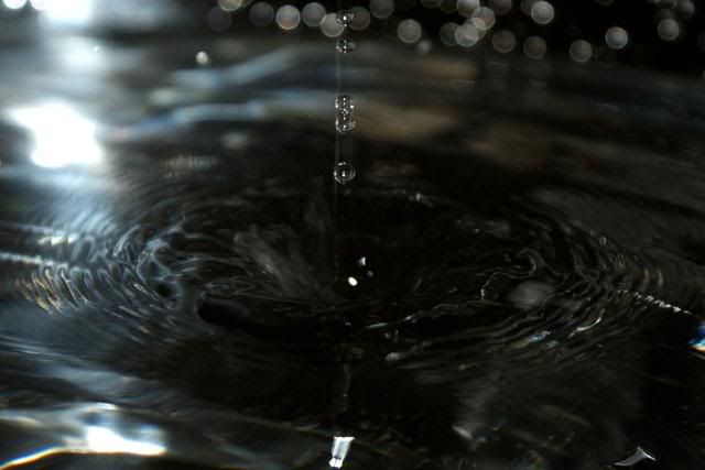 http://i388.photobucket.com/albums/oo324/IzzieLzzie/DSC01092-1.jpg