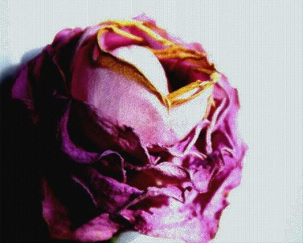 http://i388.photobucket.com/albums/oo324/IzzieLzzie/DSC01130a.jpg