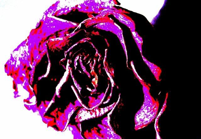 http://i388.photobucket.com/albums/oo324/IzzieLzzie/DSC01133-1.jpg