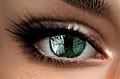 Glossy_Green.jpg