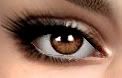 SimpleEyesBrown.jpg