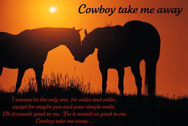 CowboyTakeMeAway.jpg