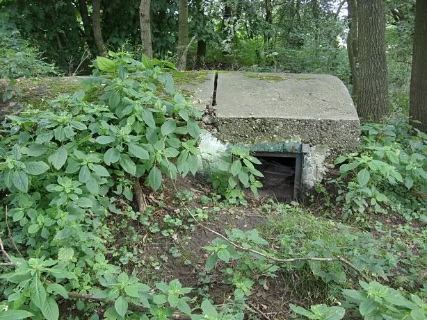 bunker12.jpg