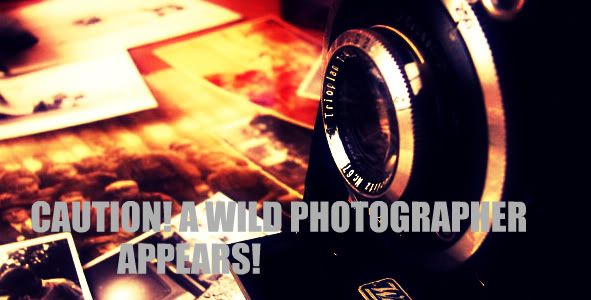 [Image: Photos_by_Lylly55.jpg]