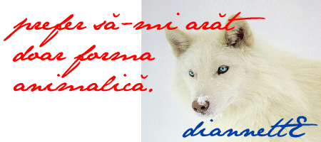 [Image: Untitled-1-4.png]