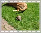 I's a coming to get you !