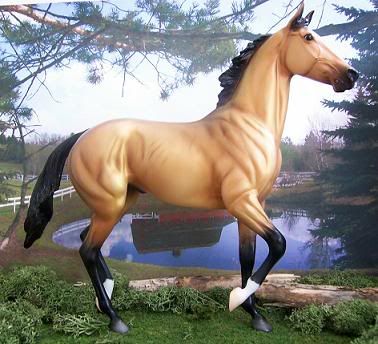 Akhal Teke Breyer