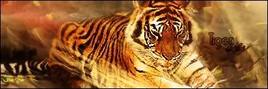 http://i388.photobucket.com/albums/oo327/Ethlll/tigerfinal.jpg