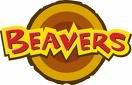 beaver