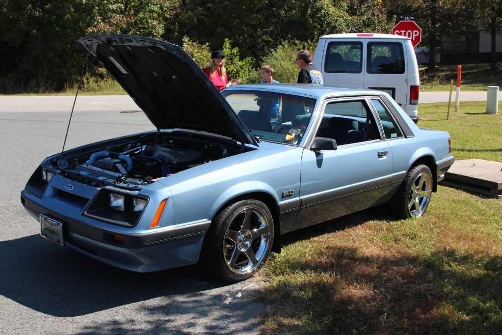 four eyed mustang