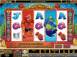 FIGHTING FISH debuts at River Belle Online Casino this week with a heady mix of Re-Spins, Multipliers, Wilds, Scatters and a Gamble feature to provide entertaining ringside slot play.