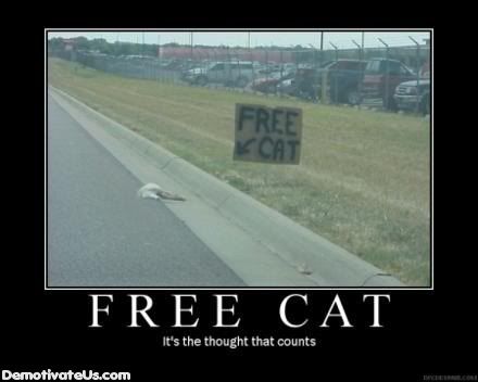 free-cat-demotivational-poster1.jpg
