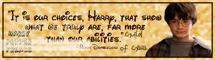 Harry Potter Freaks Guild banner