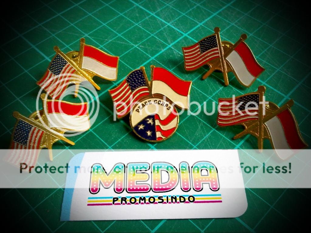 Pin Etching, Pin Sepuh emas, Brevet Sepuh emas, Pin Fiber, Pin Stainless, Pin Kuningan